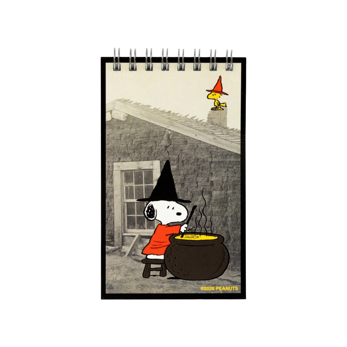 Peanuts® Snoopy Witch Mini Notebook