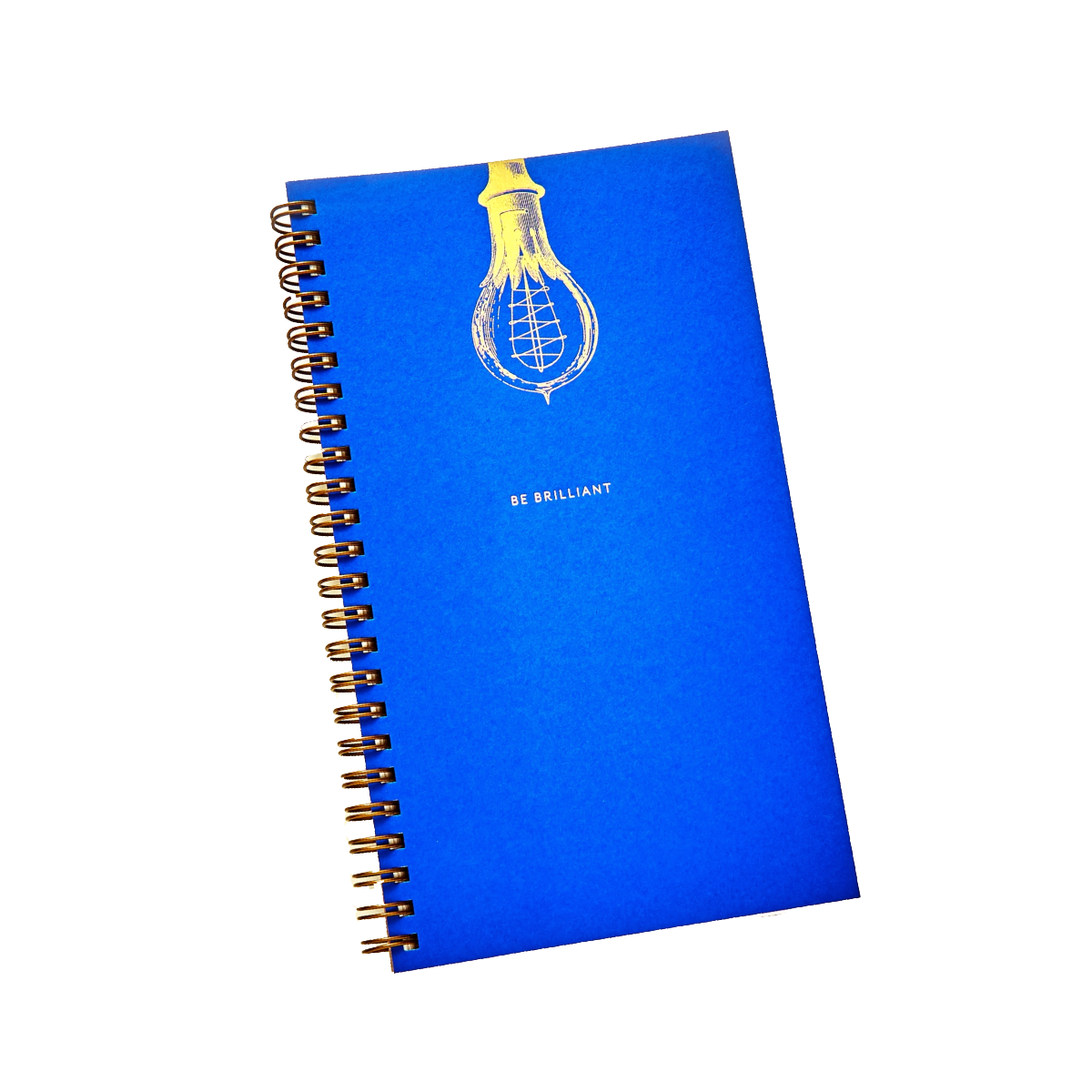 Be Brilliant Tall Notebook by Color Box Design & Letterpress