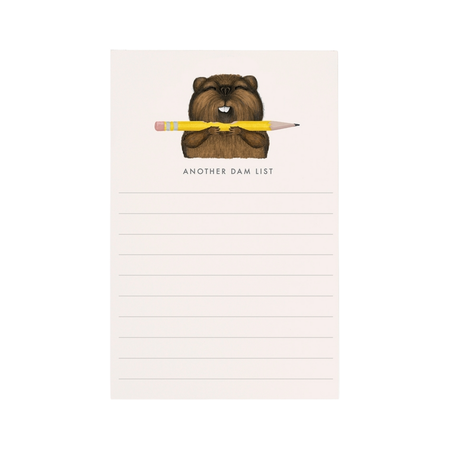 Another Dam List Notepad