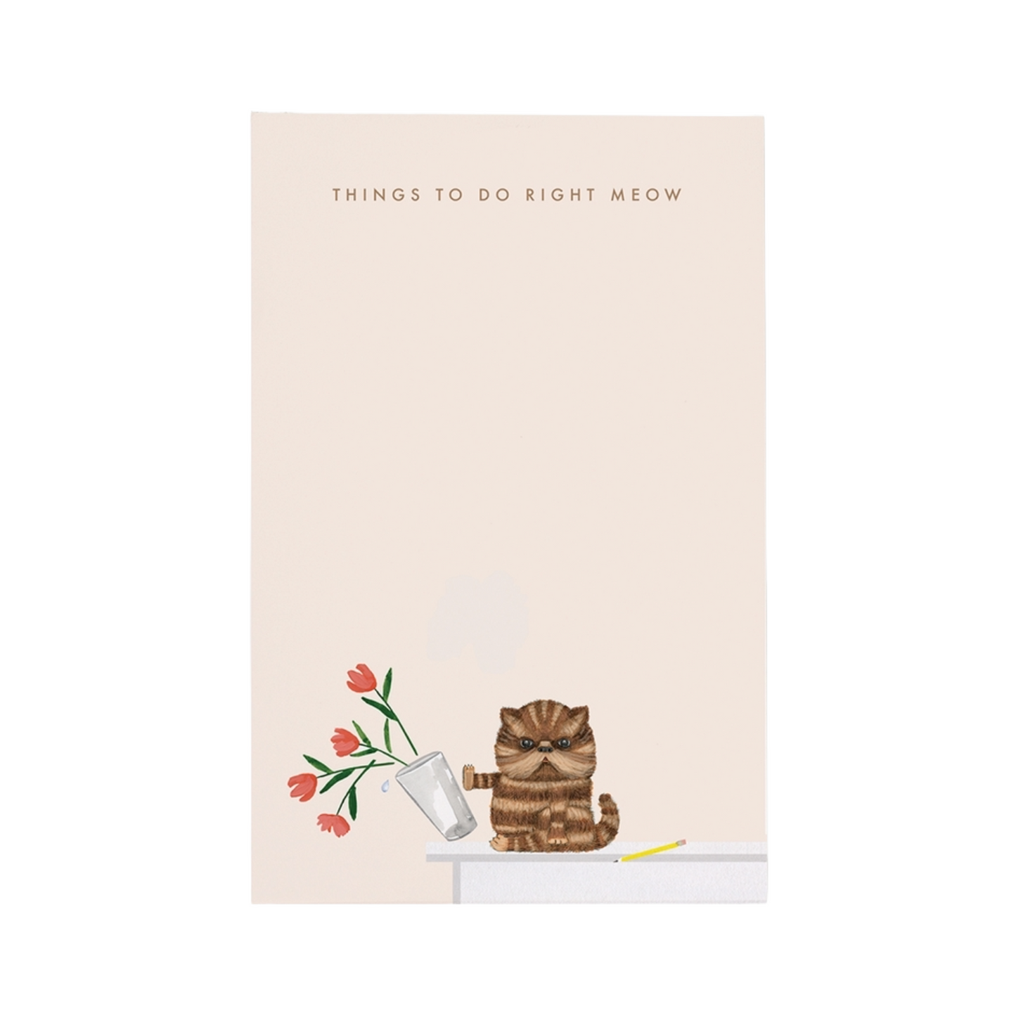 Things To Do Right Meow Notepad