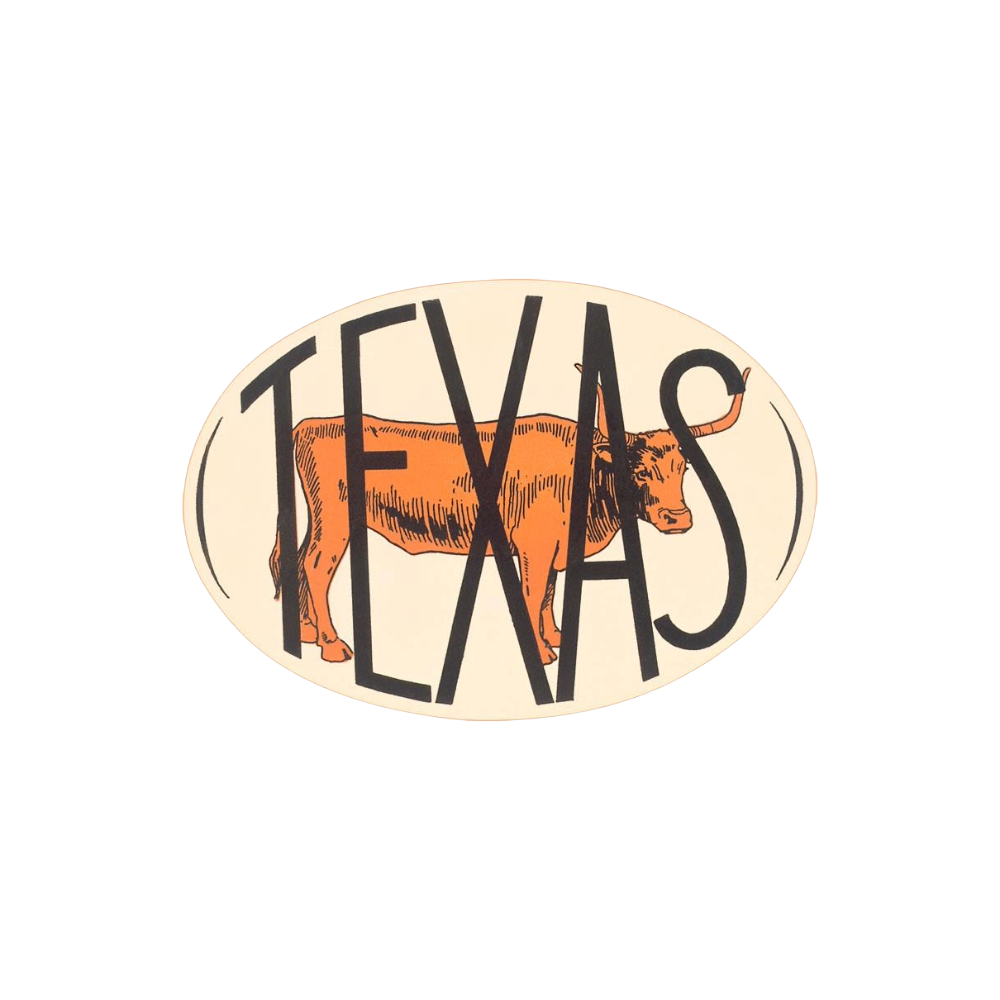 Texas Decal with Longhorn Steer Magnet