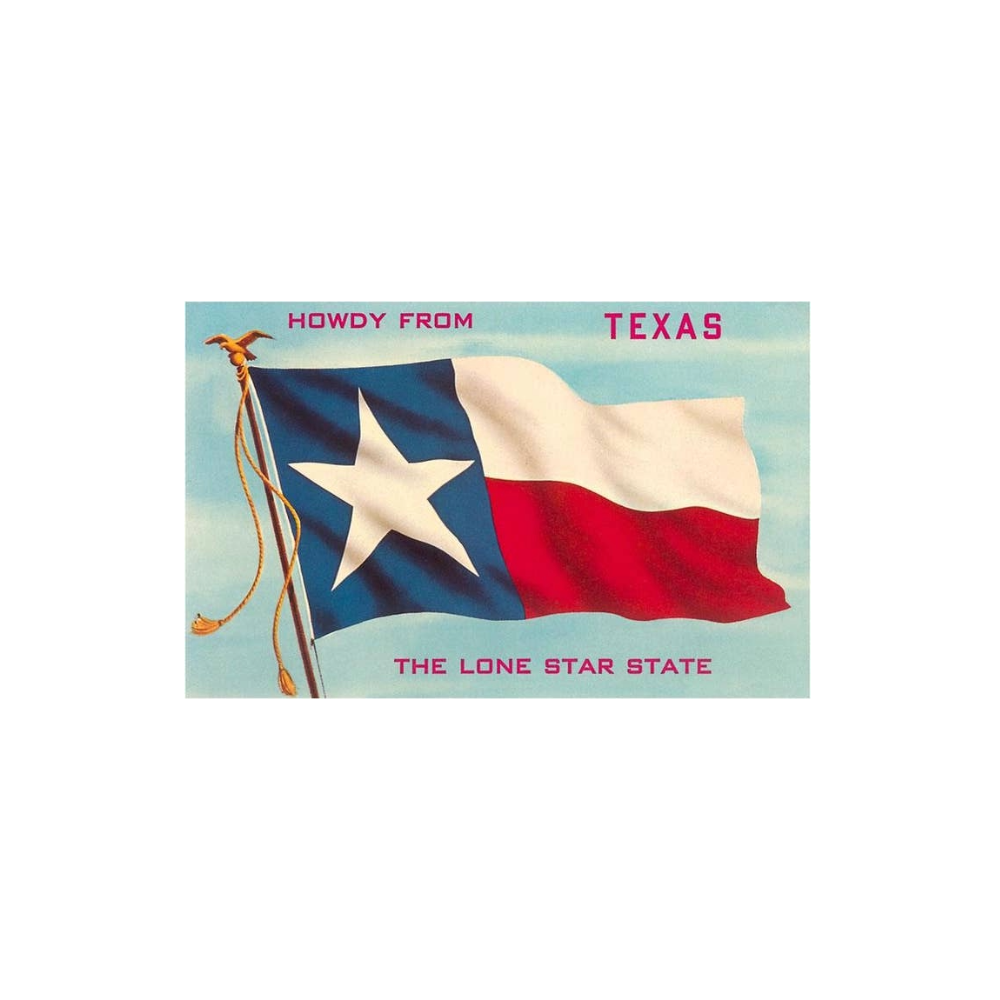 Howdy From Texas Flag Magnet