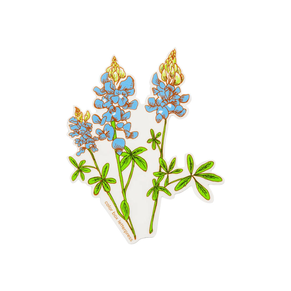 Bluebonnet Sticker