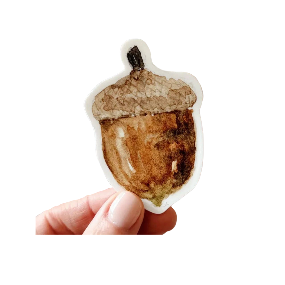 Acorn Vinyl Sticker