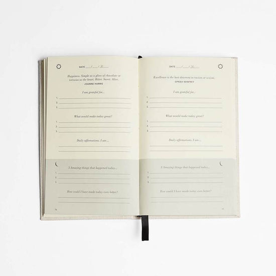 The Five Minute Journal Blush by Intelligent Change
