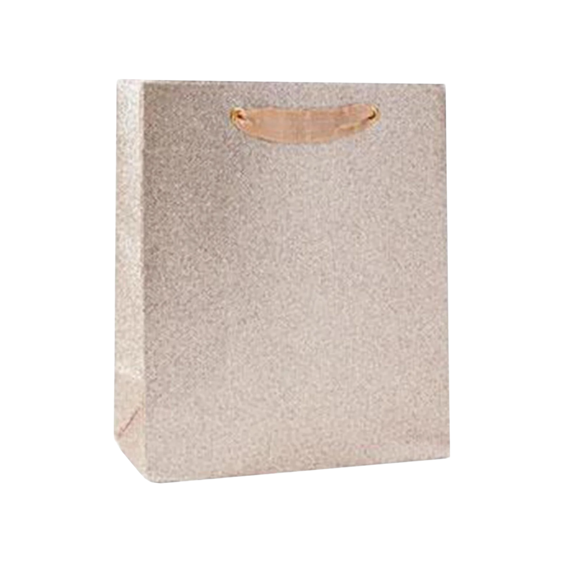 Medium Champagne Glitter Gift Bag by Waste Not Paper