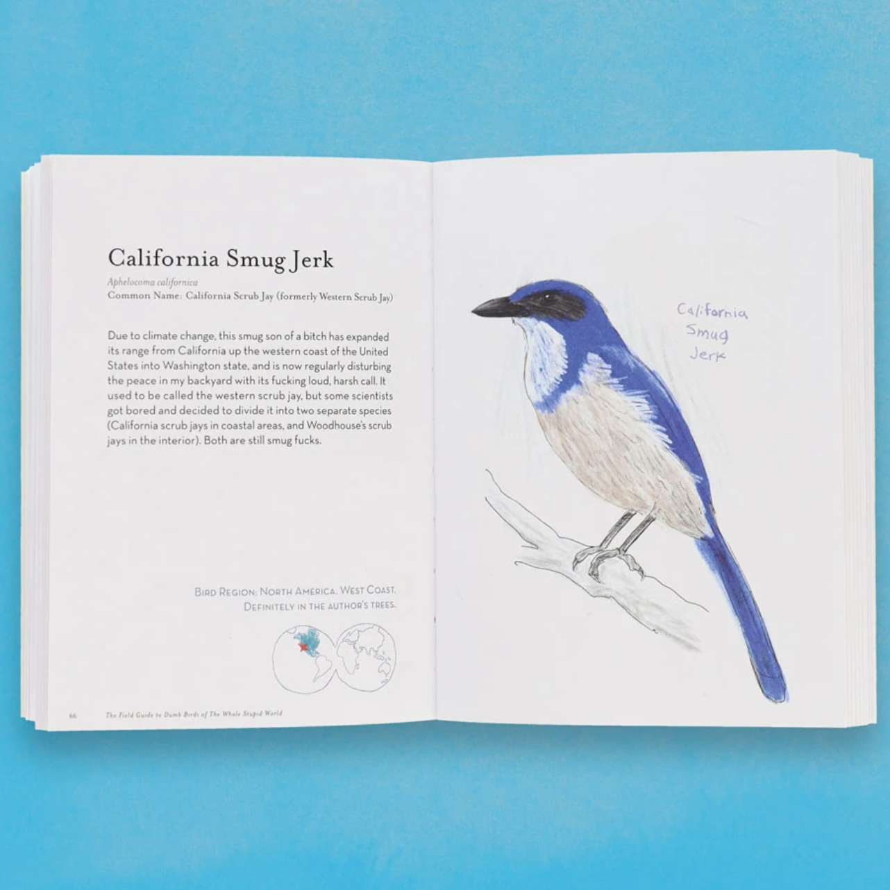 The Field Guide to Dumb Birds of the Whole Stupid World by Matt Kracht