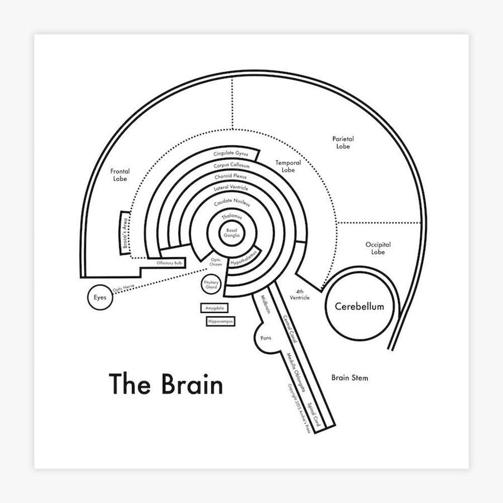 The Brain Letterpress Print by Archie’s Press